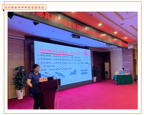 1562569256.png image.png