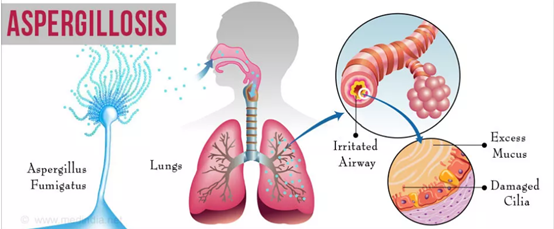 1563255182.png image.png