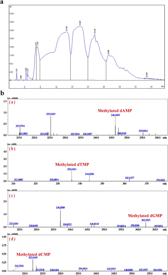 1563255541.png image.png