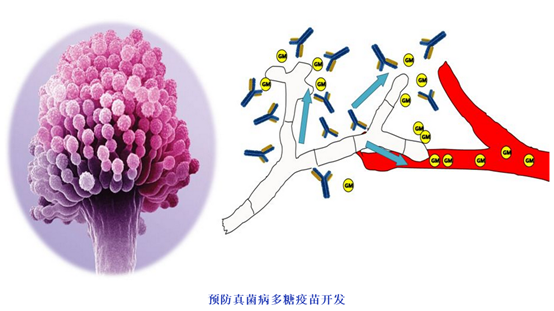 1563255577.png image.png