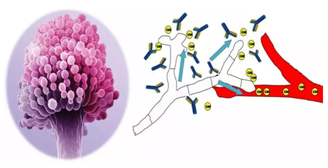 1563256094.png image.png