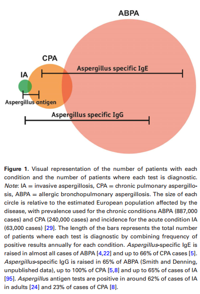 1565838117.png 4.png