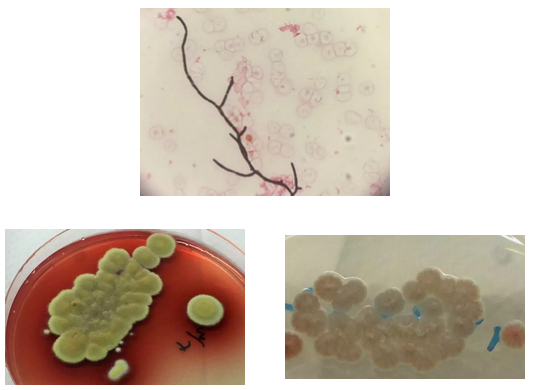 1565838135.png 3.png