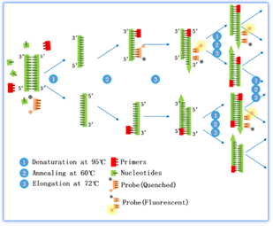 1589006656.png image.png